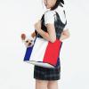 WZYCWB Lightweight Travel Bag for Cats with French Flag, Breathable Shoulder Bag for Small Dogs view 2