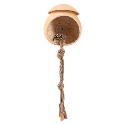 Jumping Spider House with Wooden Landscape and Suction Cup