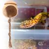 Jumping Spider House with Wooden Landscape and Suction Cup view 3
