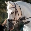 Horse Fly Mask view 3