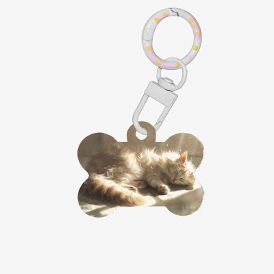 Lazy Little Cat Personalized Pet Tags, Premium Acrylic ID Tags for Pets