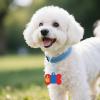 Personalized Pet Tags with Mongolian Flag view 3
