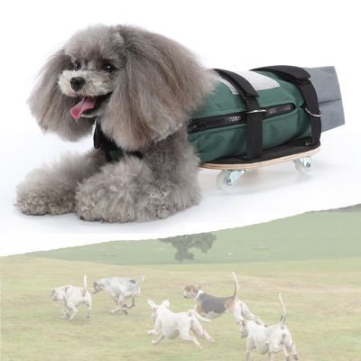 Generic Small Dog Wheelchair for Disabled Pets, Adjustable 4-Wheel Mobility Aid for Hind Legs with Carrying Bag