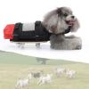 Generic Small Dog Wheelchair for Disabled Pets, Adjustable 4-Wheel Mobility Aid for Hind Legs with Carrying Bag view 3
