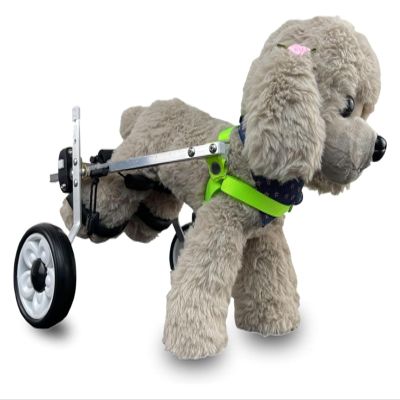 Adjustable Dog Wheelchair for Hind Legs, Size L