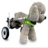 Adjustable Dog Wheelchair for Hind Legs, Size L view 1
