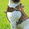Adjustable No-Pull Dog Harness view 3