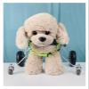 Adjustable Dog Wheelchair for Hind Legs view 2