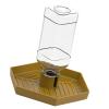 Tmboryuu Removable Food and Water Feeding Bowl for Bearded Dragons view 4