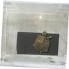 Mipcase 2-Piece USB Heating Mats for Reptiles and Small Pets view 4