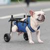 Adjustable Dog Wheelchair for Small Dogs and Cats view 3