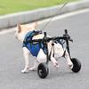 Adjustable Dog Wheelchair for Small Dogs and Cats view 4