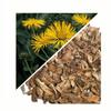 Herbs From Poland Dried Elecampane Root, Whole and Natural, No Artificial Additives, for Infusions and Seasoning (1000 g) view 2
