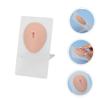 HAMPPLIES Silicone Belly Button Practice Skin for Tattooing and Piercing view 2