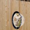 Ymnilian Acrylic Dome Window for Dog Fences view 4