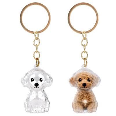 Sinbana 2-Pack Dog Hair Collector Keychains