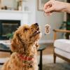 Sinbana 2-Pack Dog Hair Collector Keychains view 3