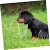 DECOMELODY Retractable Small Dog Leash view 3