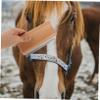 UPKOCH Horse Grooming Brush with 12.5 cm Stainless Steel Deshedding Comb view 4