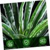 TOYZFRIENDY Artificial Reptile Plants, Resin and Plastic, 2-Pack view 3