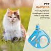 Adjustable Pet Harness for Small Dogs and Cats view 3