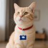 Wyoming State Flag Personalized Acrylic Pet ID Tags view 2