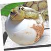 FONDOTIN Reptile Heating Pads 3 Pack 16x16cm view 4