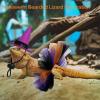 Bexdug Bearded Dragon Costume - Witch Hat & Skirt view 2