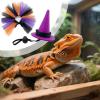 Bexdug Bearded Dragon Costume - Witch Hat & Skirt view 3