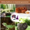 Bexdug Bearded Dragon Costume - Witch Hat & Skirt view 4