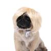 Dog Cosplay Bob Wigs Pet Hairpiece Gift for Party Accessories view 1