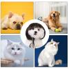 Dog Cosplay Bob Wigs Pet Hairpiece Gift for Party Accessories view 2