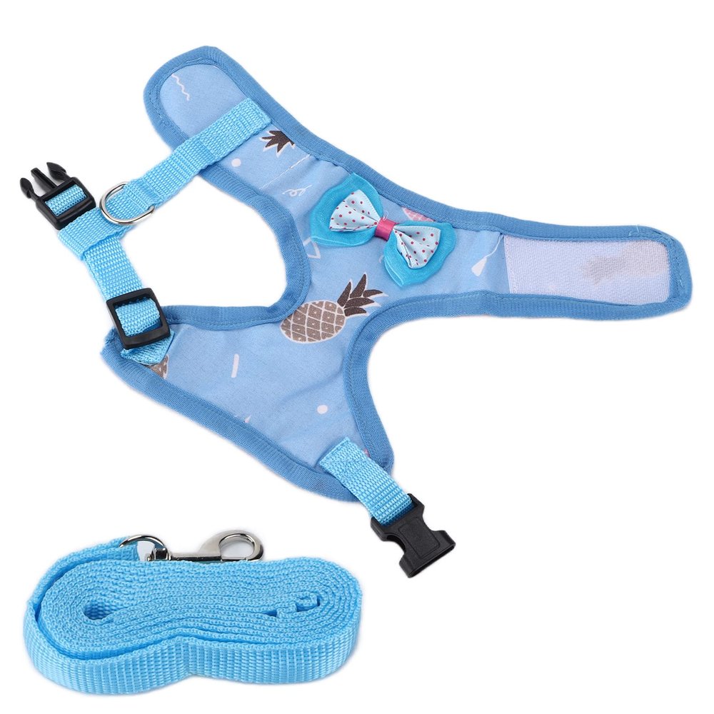 Adjustable Chicken Leash and Harness