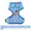 Adjustable Chicken Leash and Harness view 2