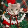 Christmas Bandanas for Pets view 3
