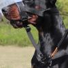 Durable Dog Muzzle, Large Size, for Outdoor Use view 4
