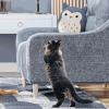 Space-Saving Cat Scratcher with Rotating Disc view 2