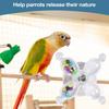 Rotating Parrot Toy view 2