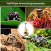 Generic Jumping Spider House - Terrarium Habitat for Small Spiders view 3
