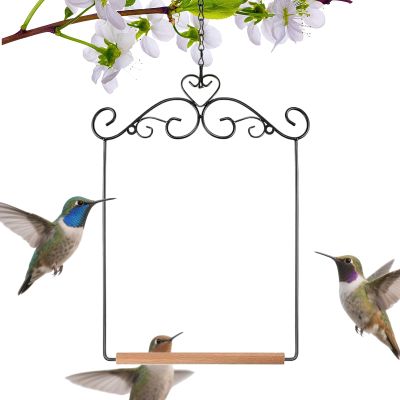 Parrot Swing for Outdoor Use