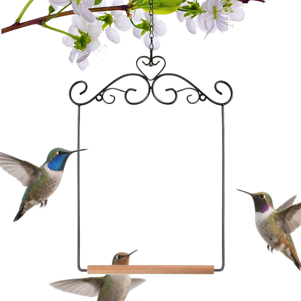 Parrot Swing for Outdoor Use