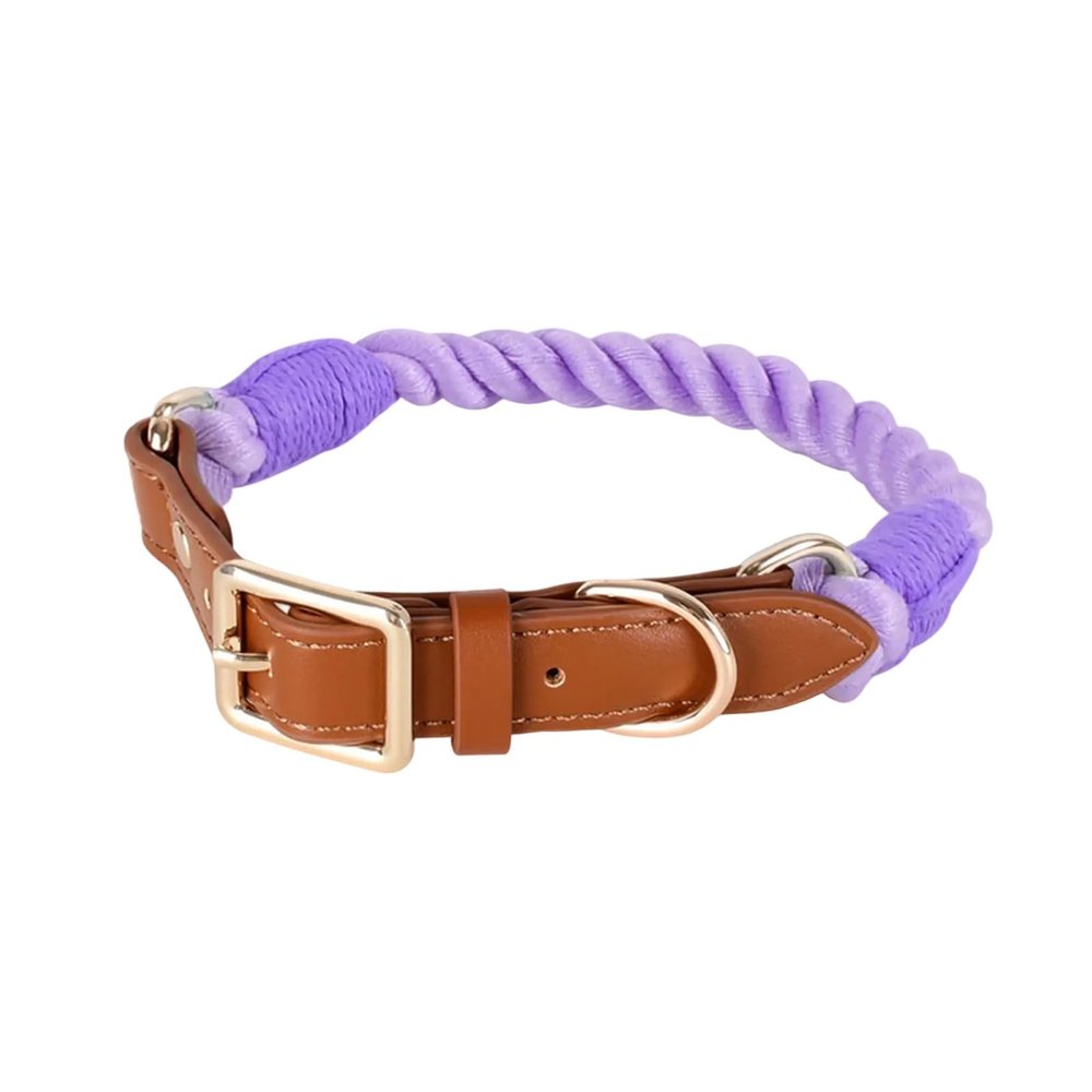 Zkydhbd Quality Dog Collar, Fashionable and Soft, for Small to Large Dogs