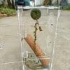 Spider Terrarium - Naturalistic Moss Grid Climbing Cage view 3