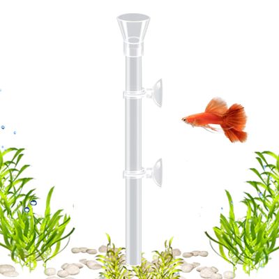 Acrylic Fish Feeding Tube
