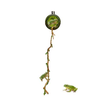 Spider Terrarium with Magnetic Mount