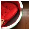Watermelon-Shaped Dog Bed for Cats and Puppies view 4