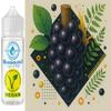 Tree-Trunk Grape (Brazilian Grape) Flavor Concentrate – Vegan – Sasami – 10 mL view 1
