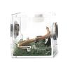 Reptile Breeding Box view 1