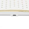 36W LED Nail Lamp Portable Dryer with 12 Chips, Push-Button Holder, and Dual Light Source view 2