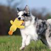 Plush Dog Toy - Squeaky Duck view 2